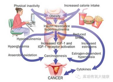 美国的肥胖人口_美国肥胖女人图片大全