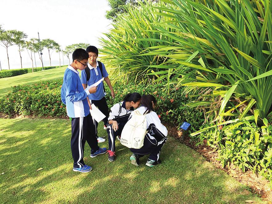 第二届深圳市生物地理学科综合实践校际交流活动现场 构建理由