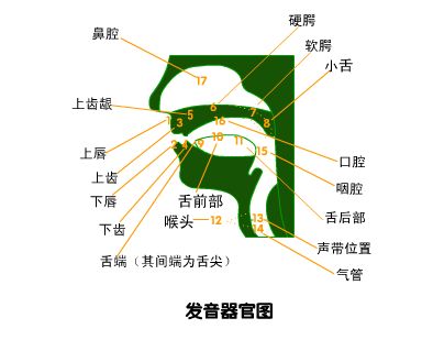 各种语言和人口_各种花的图片和名字(3)