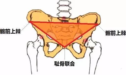 会在我们小腹的位置形成一个三角形的平面