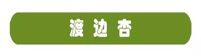 全日本美腿TOP10！你喜歡欣賞漂亮好看的美腿嗎？你心中的長腿女神是睡呢？菜菜緒因為她只能排第二？(圖2)