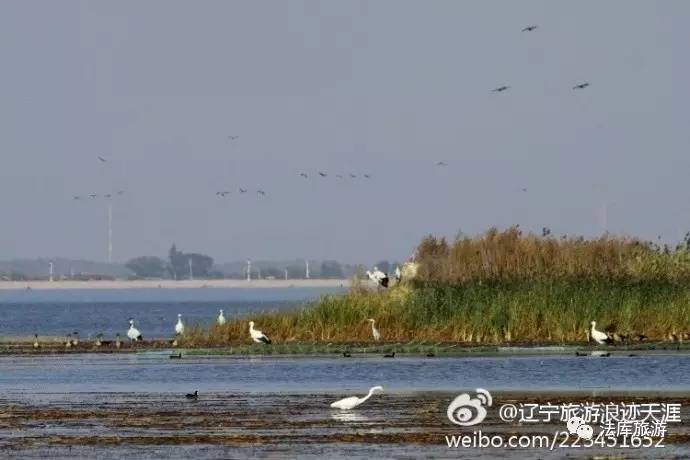 獾子洞国家湿地公园,位于法库县西部的秀水河子镇和叶茂台镇之间,距