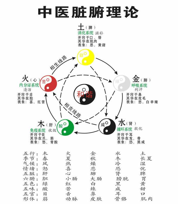 什么是道教医学及阴阳学说?