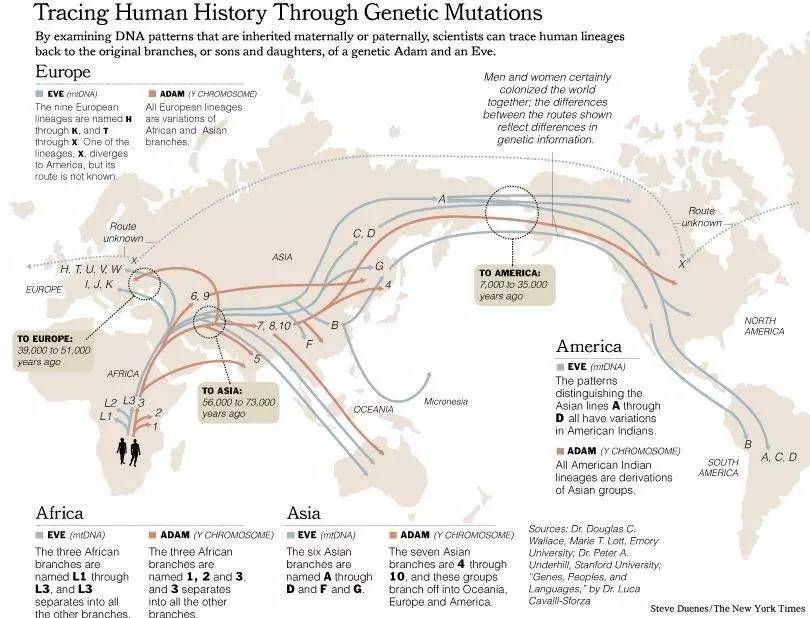 25000年前,即便如此也比使用克洛维斯尖石镞的人种迁入美洲的年代早