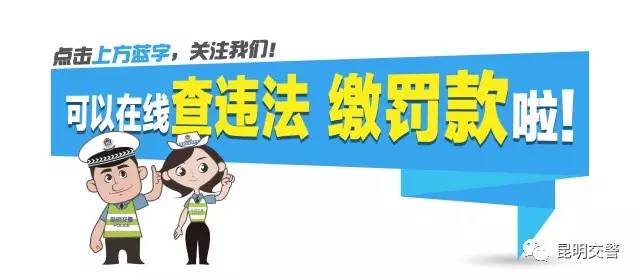 【昆明公安“向上向善好青年”网络展播No.49】交警支队杨红艳