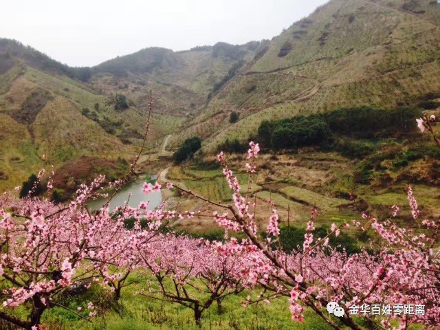 东乡县有多少人口_东乡人注意 每天有一群人出现在这里,过几天还有更想不到