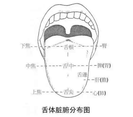 如果你舌苔是这种颜色可能大病在靠近!