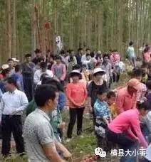 横县杨彭村有多少人口_横县有多少个乡镇地图