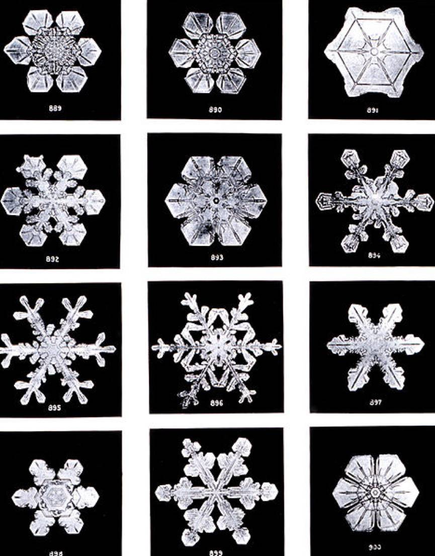 其实微观世界的每一片雪花都藏着惊人的美,如果你在放大镜或显微镜下
