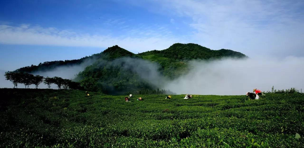 安化名胜古迹颇多,风景迷人.