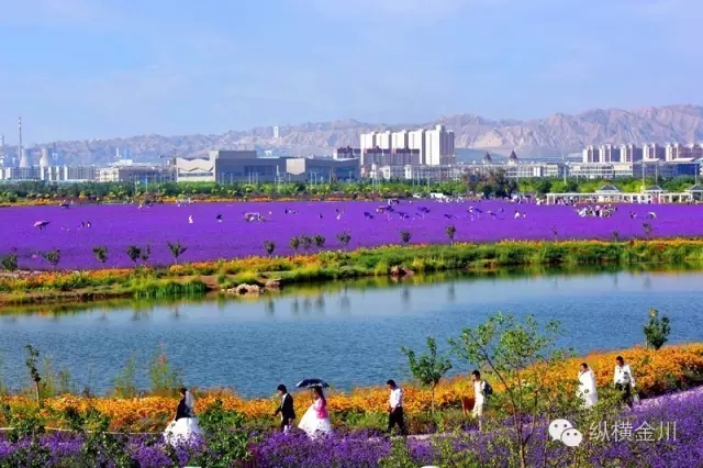 花城春韵——金昌市以生态文化旅游业引领城市转型