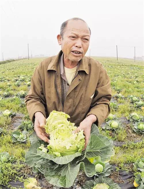 宾阳县贫困人口_宾阳县地图