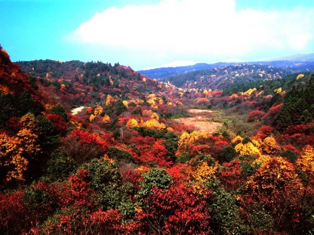 (彝良县小草坝景区)