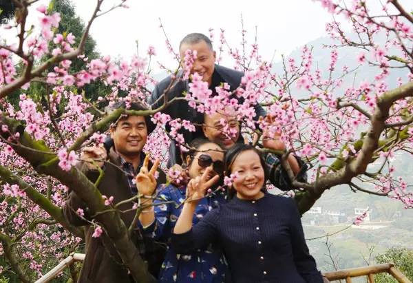 桃花节 |龙泉山惊现"十里桃林"仙境.