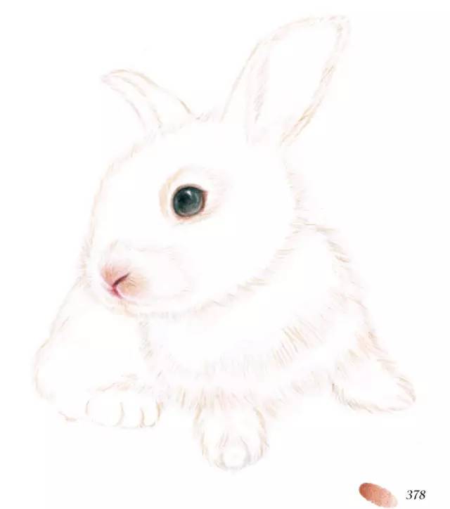 step2: 用329桃红画出兔子粉嫩的鼻头,再用378赭石叠加,画出鼻头的