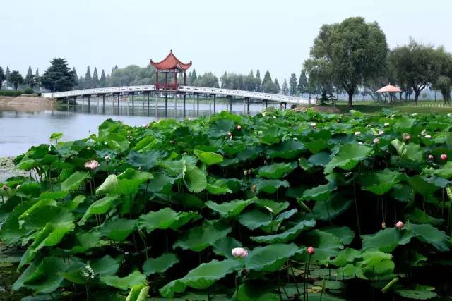 洪湖周边旅游景点大全