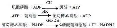 肌肉胀痛怎么办