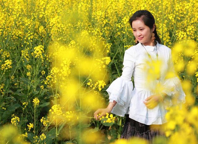 近百位美女油菜花中唯美照片