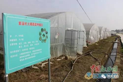 芦溪县有多少人口_江西芦溪地陷1人失踪