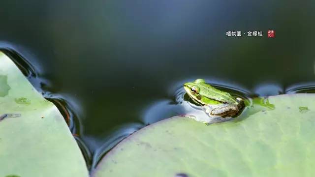 南京婚纱摄影团购(2)