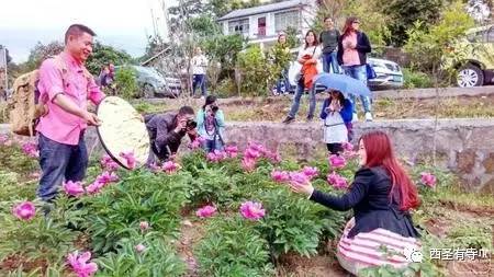 通川区新村乡的人口多少_通川区双龙镇中心校