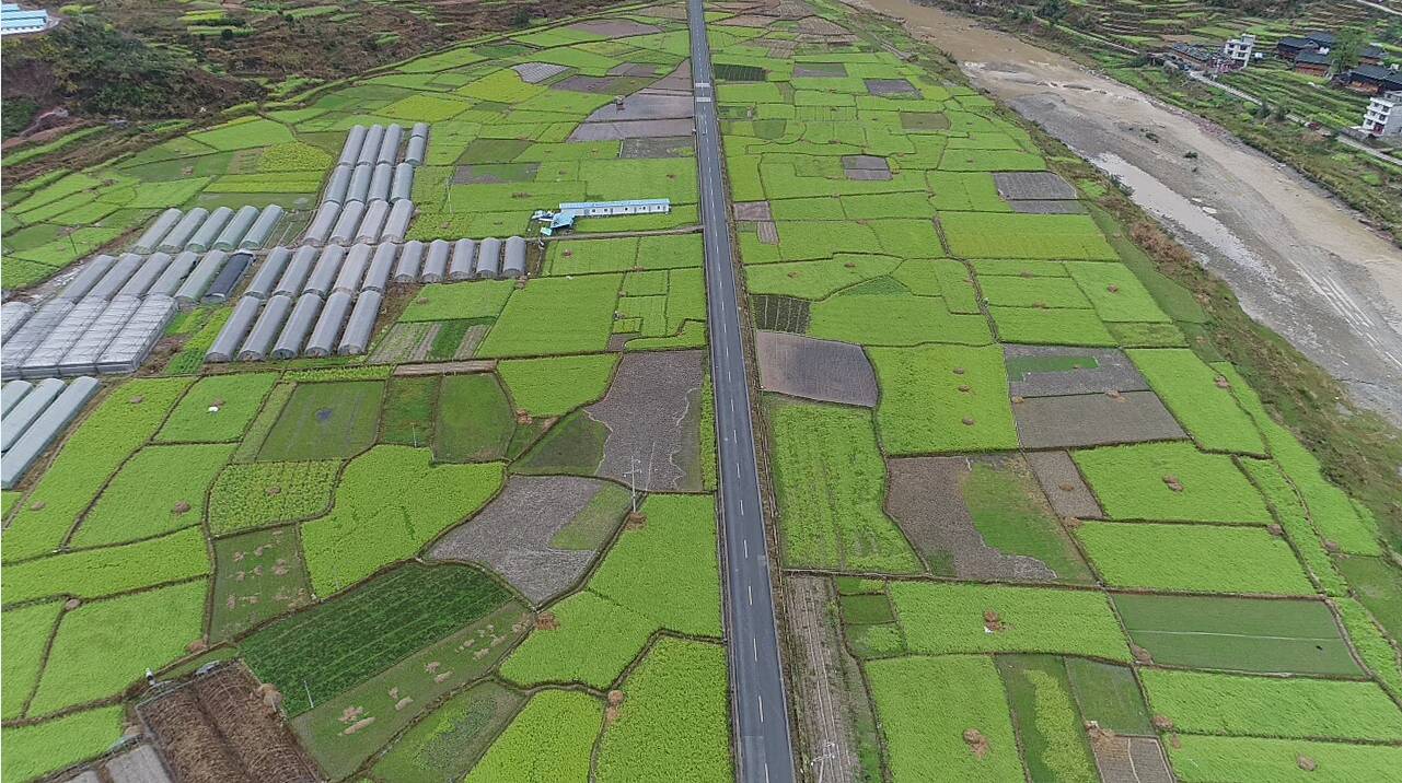 到达养殖场,俯瞰田野,像铺了一层碧绿的地毯,大雨过后,小草都吮吸