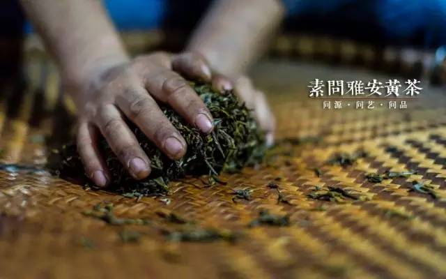 素问雅安黄茶 | 守望传统工艺 匠心成就好茶