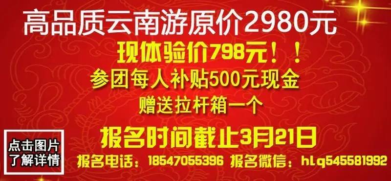 重庆电信招聘_重庆互联网产业园招聘会 百度新浪入驻招人(5)