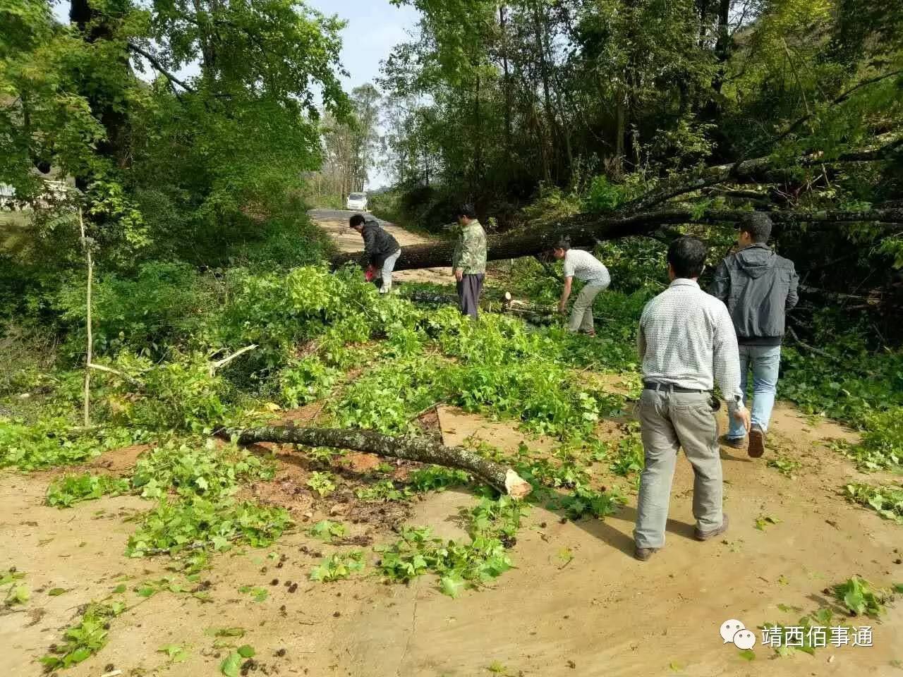 龙梅村委人口_多龙梅西亚(2)