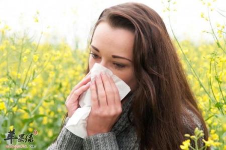 鼻炎长期不愈,当心哮喘找上门 过敏性鼻炎的危害