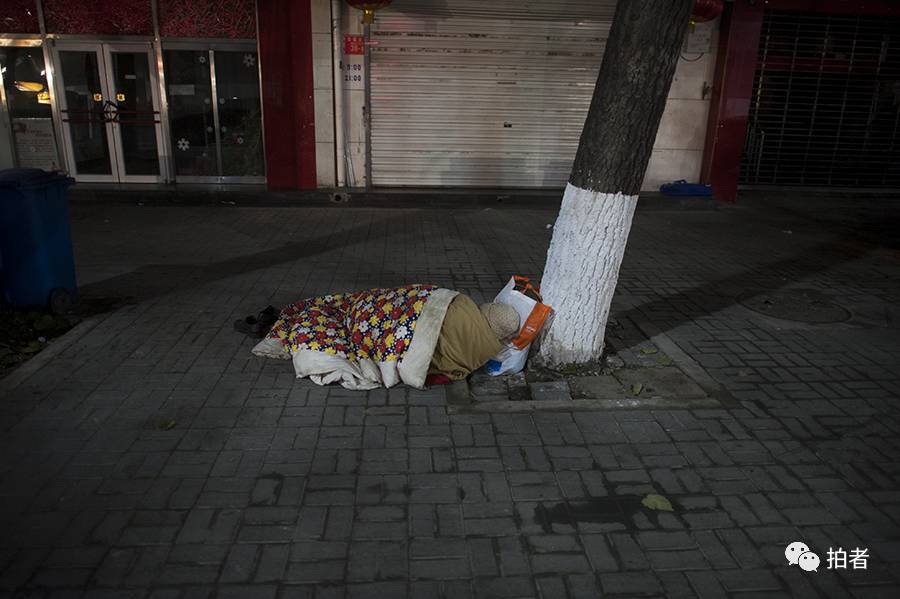 △ 2015年12月1日,幸福大街,一名女子依靠大树睡着.