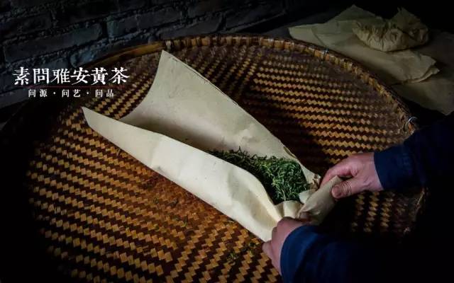 素问雅安黄茶 | 守望传统工艺 匠心成就好茶