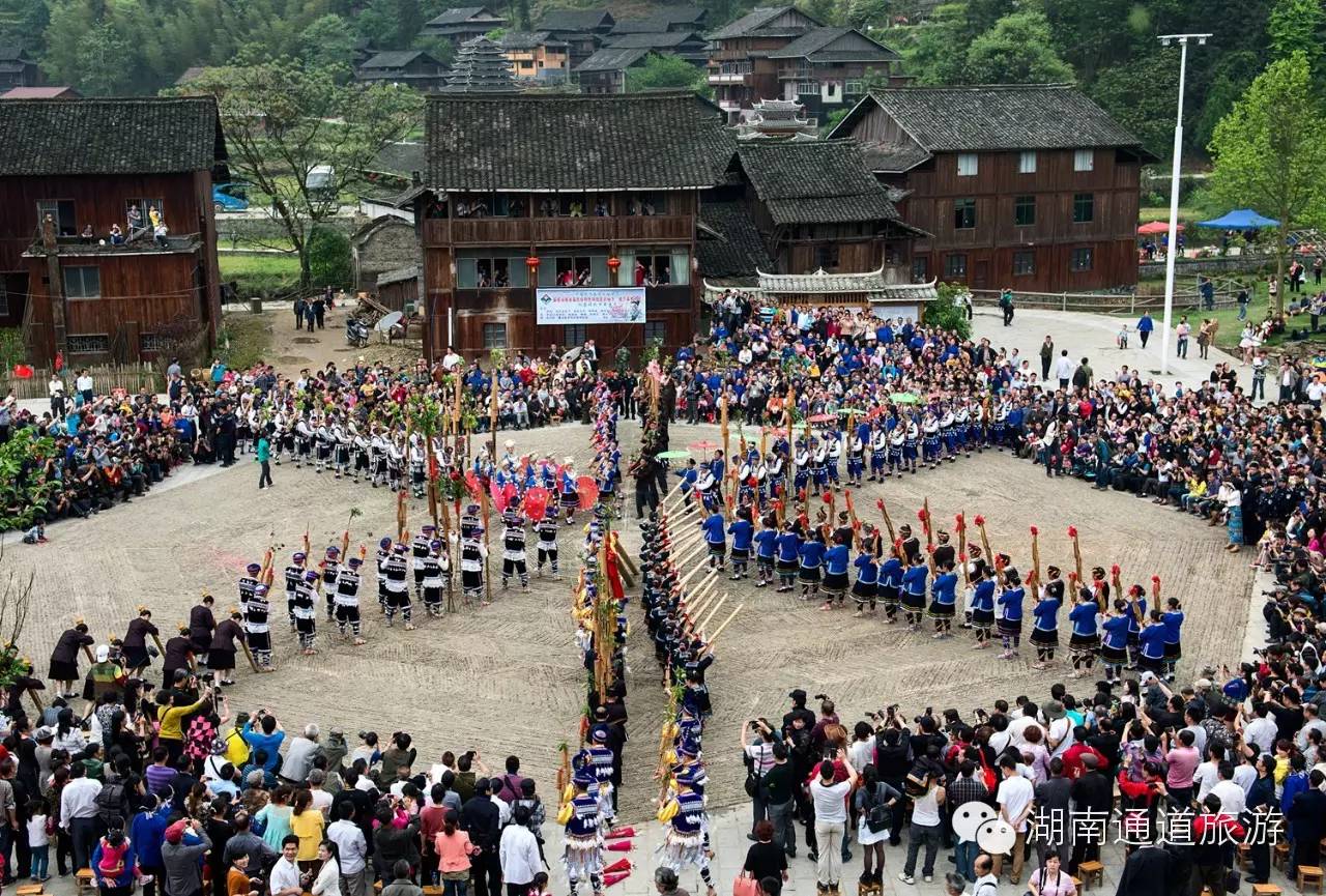 解决"最后一公里"!通道芋头古侗寨要修旅游公路