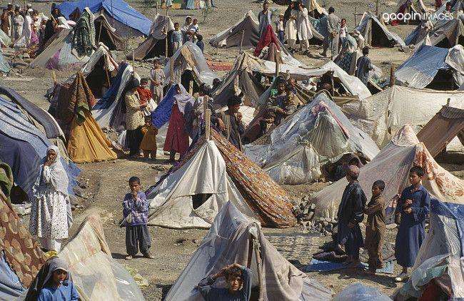 unhcr难民营收入的阿富汗难民