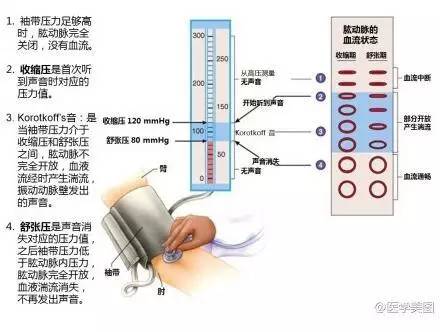 7.测量血压的原理