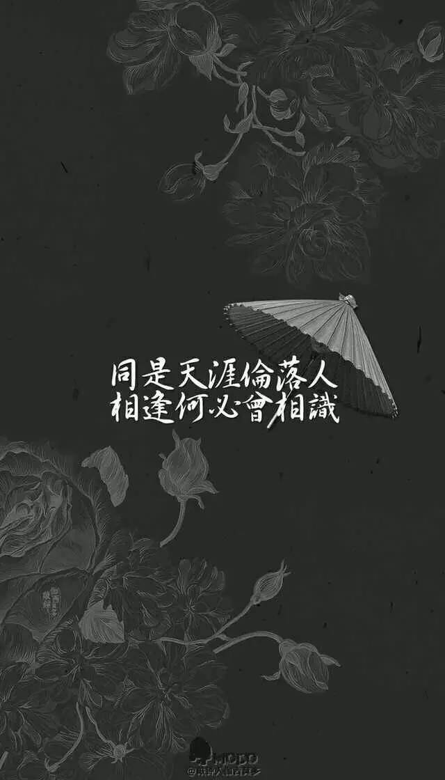 始于初见,止于终老.