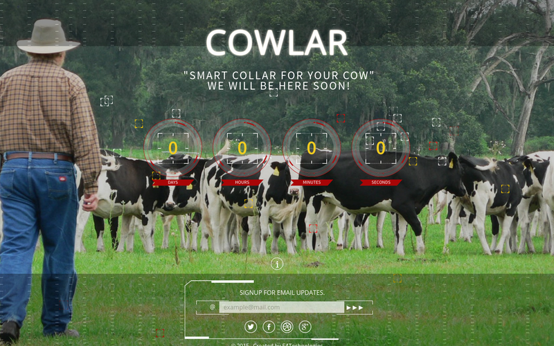 这个初创公司唯一研发的产品,也叫"牛领"(cowlar).