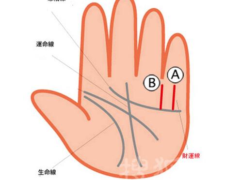 五指指纹组合测命运!