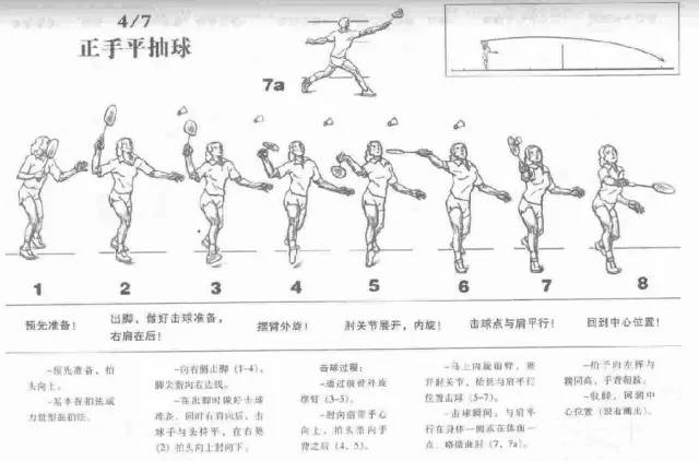 羽毛球动作全图解,建议看完再收藏!