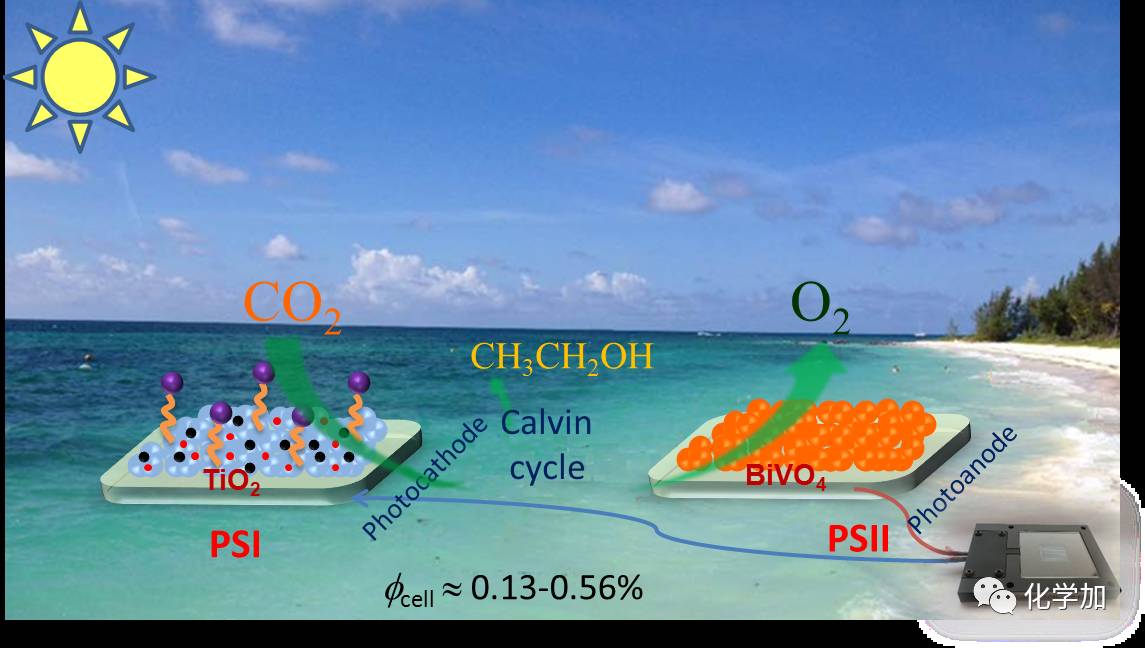 【前沿化学】由二氧化碳和水制备醇的人工光合成新进展