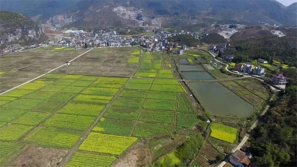 其它 正文  地址:浙江神衢州市衢江区上方镇龙祥村 | 枫叶林 若是错过