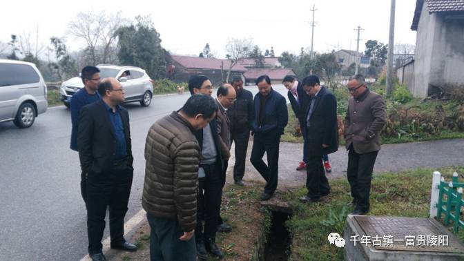 调研组一行在实地查看了陵阳集镇建成区和杨梅村美丽乡村建设点垃圾