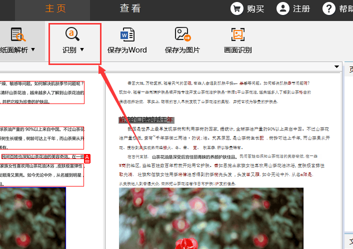 怎么把图片转换成文字 ocr文字识别软件来帮你