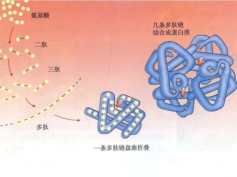 链源多少人口_博社村人口多少(3)