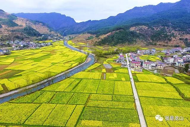 靛房镇人口_龙山县靛房镇风景区