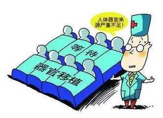 人体器官资源有限,穷人怎么办?