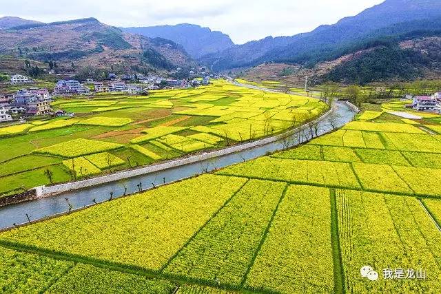 靛房镇人口_龙山县靛房镇风景区(2)