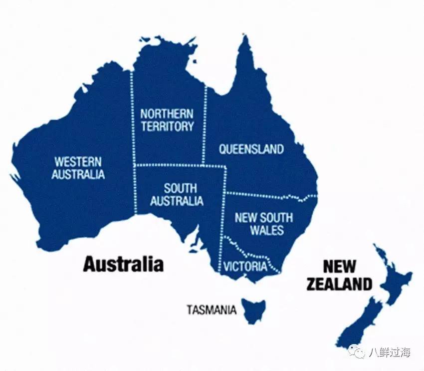 澳洲龙虾:除了知名的西澳岩龙虾和南澳岩龙虾