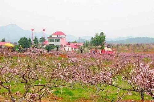 "安义古村 永修凤凰山桃花园"一日游!