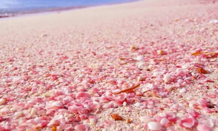 少女心炸裂,这些粉色沙滩你看过没?